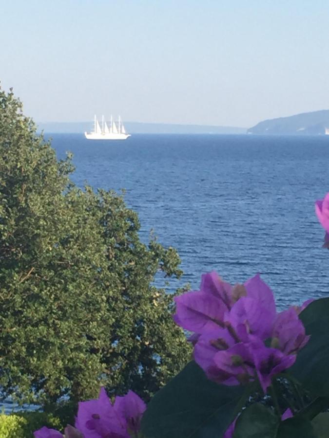 Bed And Breakfast Villa Maria Lovran Εξωτερικό φωτογραφία